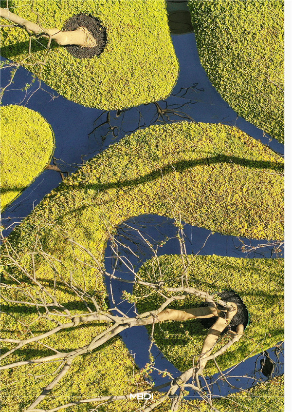 英斯佛朗|蘇州·正榮春棲和庭