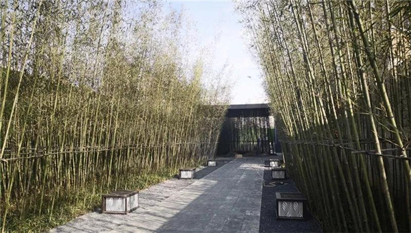 南昌金地金茂正榮悅風華示范區