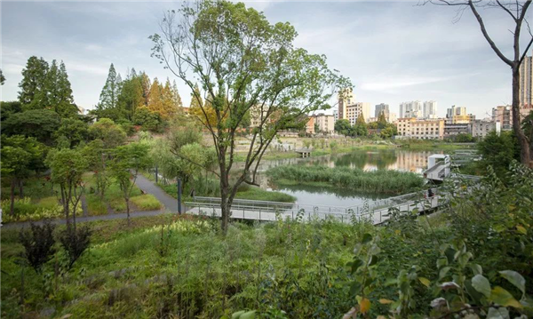 化腐朽為生機 | 一段老城區護城河遺跡的景觀與海綿化改造