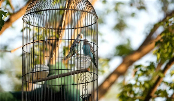 山水比德丨北京保利和悅春風(fēng)