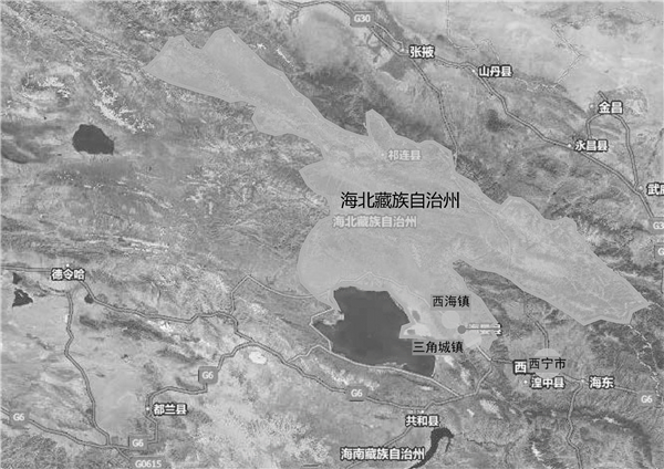 劉玉龍：醫(yī)療設(shè)施——綠色生態(tài)城市的急救站