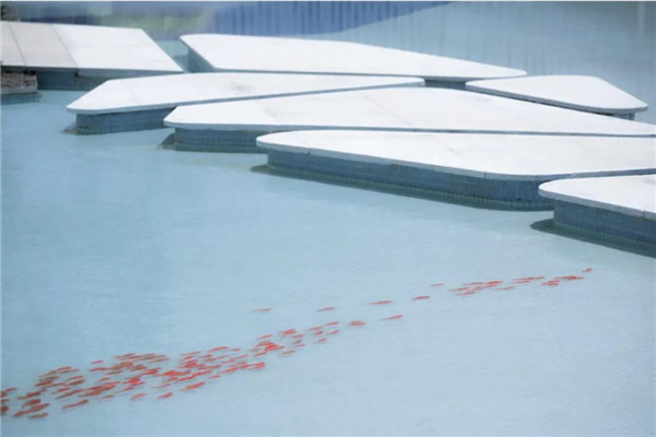 冉地設計|中昂寧海示范區