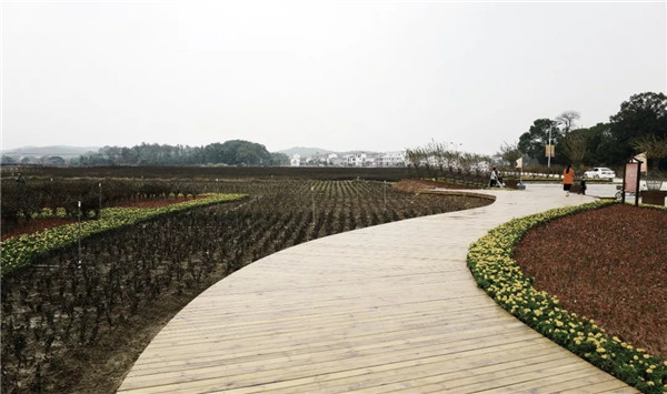 偶木景觀|千年陸坊：心學故里的時代新生