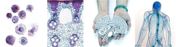 直播預(yù)告丨?阿普貝思景觀實(shí)踐與思考