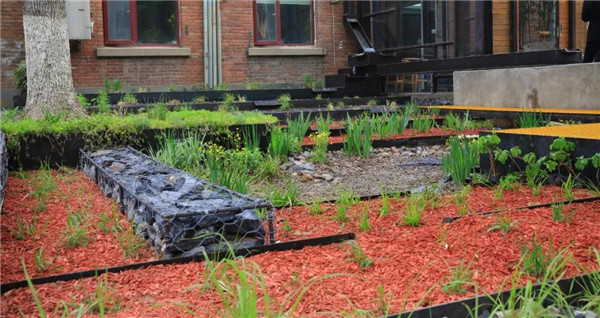 直播預(yù)告丨?阿普貝思景觀實(shí)踐與思考