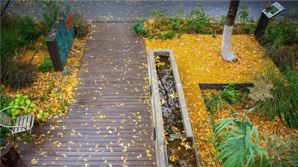 直播預(yù)告丨?阿普貝思景觀實(shí)踐與思考