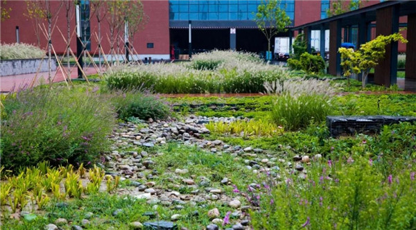 直播預(yù)告丨?阿普貝思景觀實(shí)踐與思考