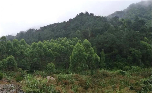 直播預(yù)告丨?阿普貝思景觀實(shí)踐與思考