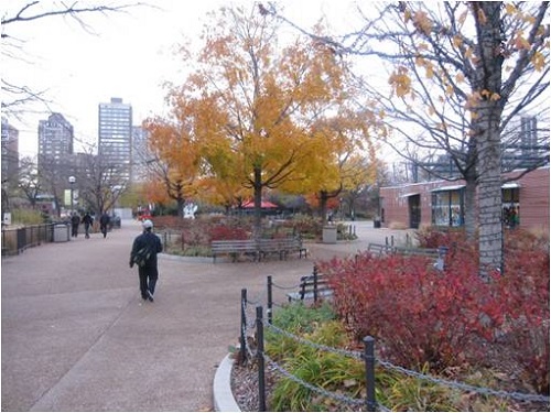 邱冰:公園與城市生活——公園屬性的反思