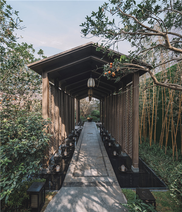 賽瑞景觀丨廈門建發(fā)?養(yǎng)云