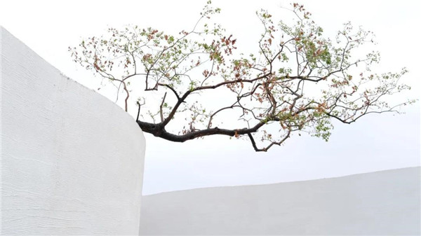 希爾景觀丨南昌力高國資 · 雍江府