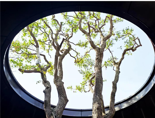 帝奧設(shè)計丨中梁·時代江來——半城江水，半城詩歌