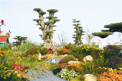 花境行業(yè)發(fā)展需培養(yǎng)專業(yè)人才