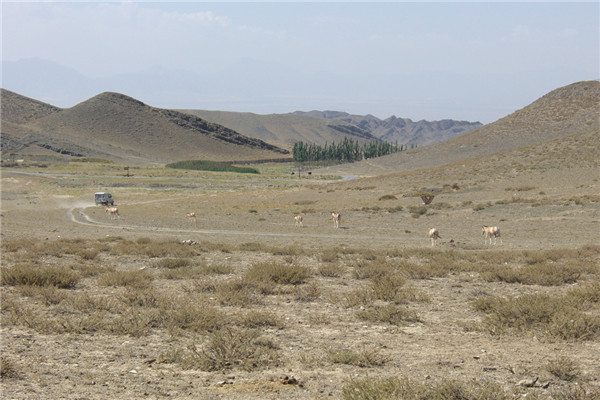 章俊華訪談:大地“衛士”