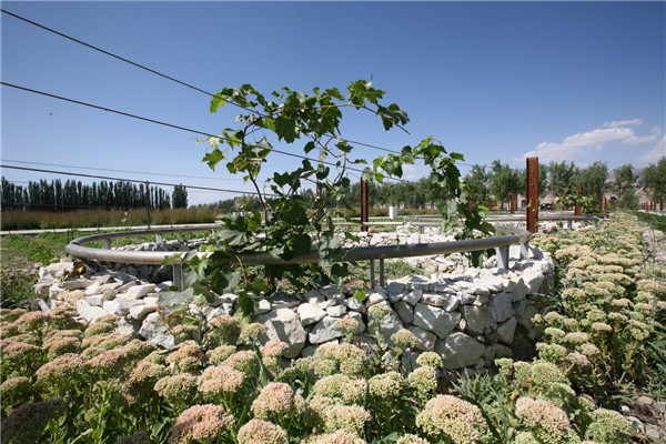 章俊華訪談:大地“衛士”