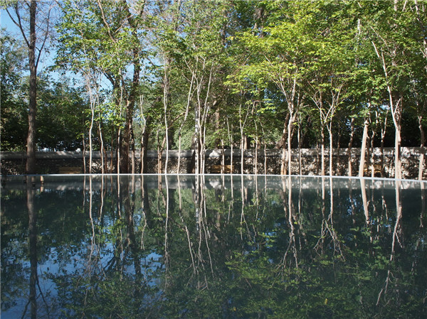 章俊華訪談:大地“衛士”