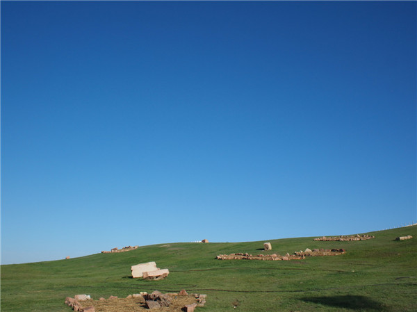 章俊華訪談:大地“衛士”