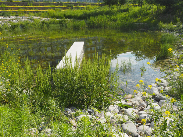 章俊華訪談:大地“衛士”