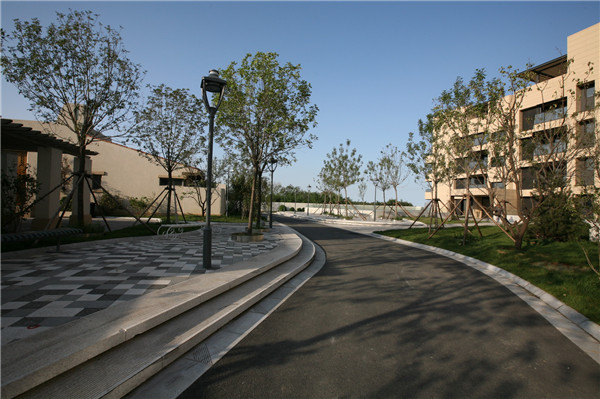 章俊華訪談:大地“衛士”