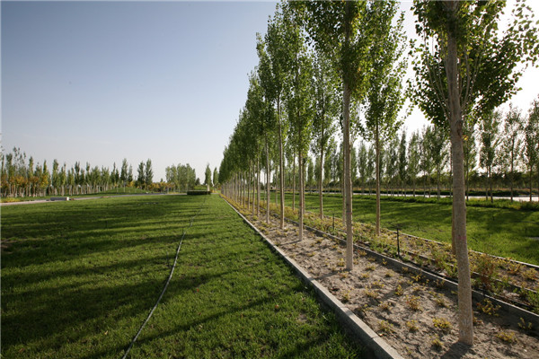 章俊華訪談:大地“衛士”