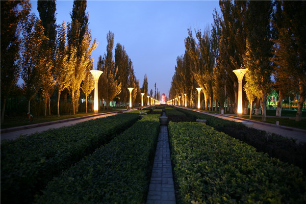 章俊華訪談:大地“衛士”