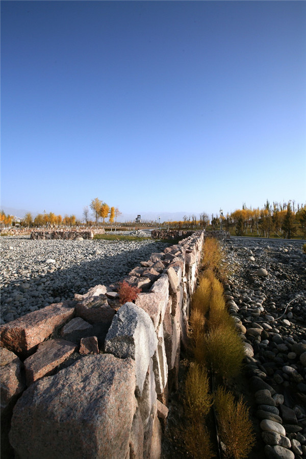 章俊華訪談:大地“衛士”