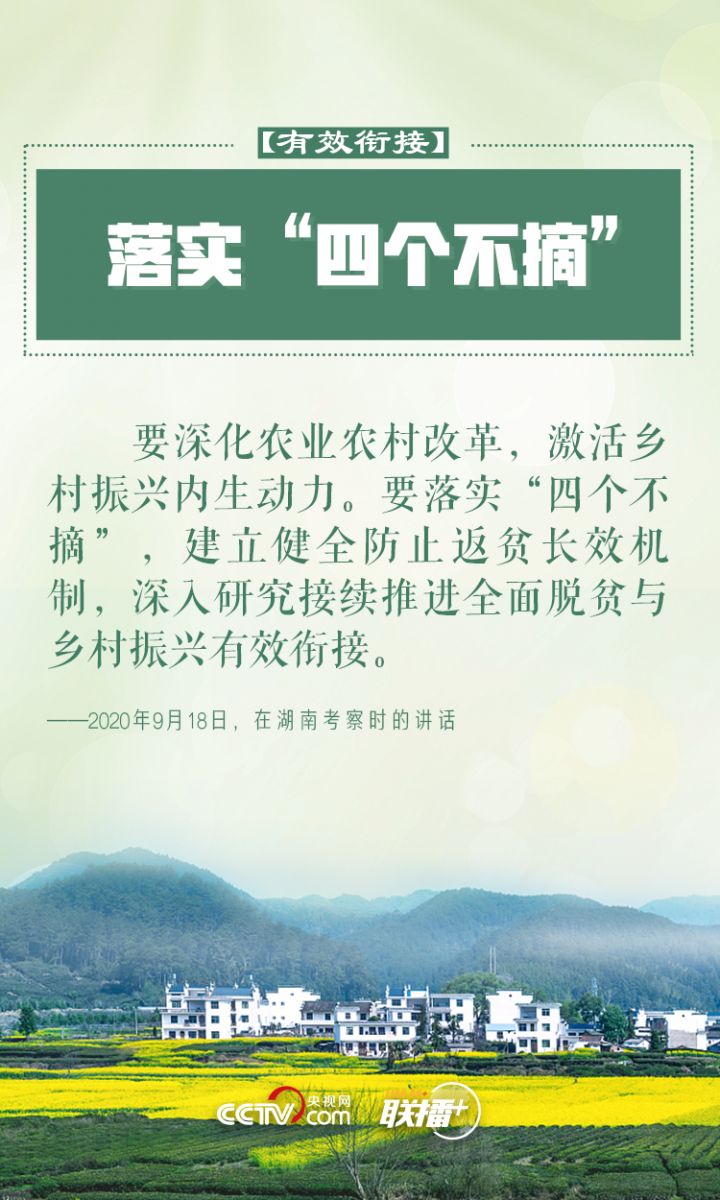 鄉(xiāng)村振興 習(xí)近平反復(fù)強(qiáng)調(diào)這四個(gè)字