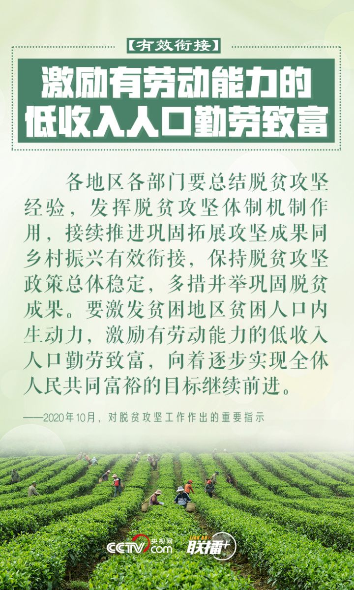 鄉(xiāng)村振興 習(xí)近平反復(fù)強(qiáng)調(diào)這四個(gè)字