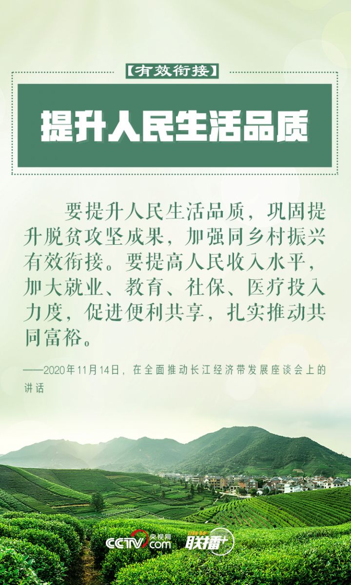 鄉(xiāng)村振興 習(xí)近平反復(fù)強(qiáng)調(diào)這四個(gè)字