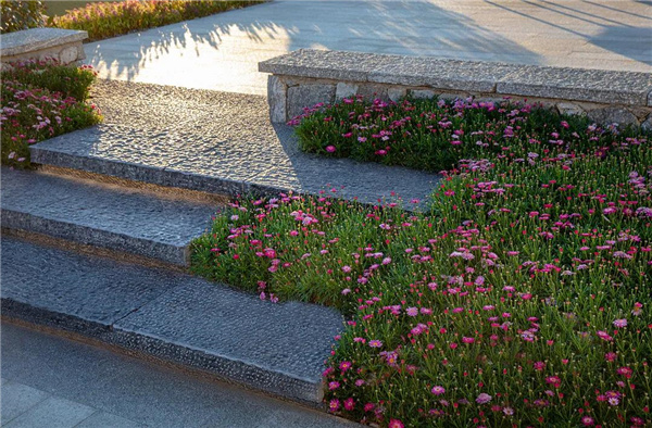 漫格景觀丨大理的小院子中區(qū)生活體驗(yàn)中心