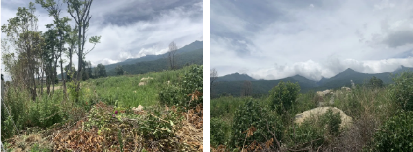 漫格景觀丨大理的小院子中區(qū)生活體驗(yàn)中心