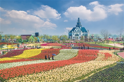 打造最美花海需要怎么做?