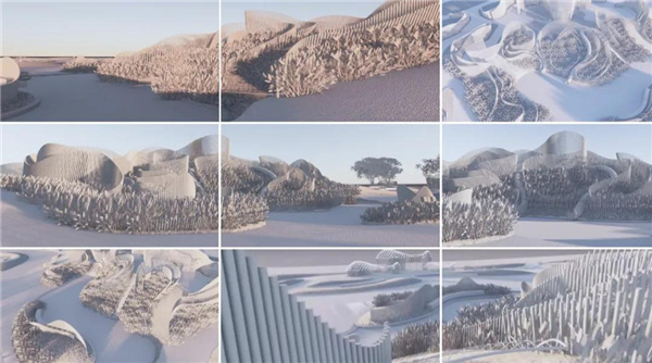 賽肯思:用創(chuàng)造力連接人與自然