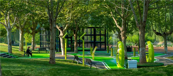 賽肯思:用創(chuàng)造力連接人與自然