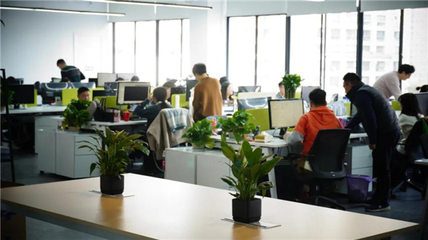 賽肯思:用創(chuàng)造力連接人與自然