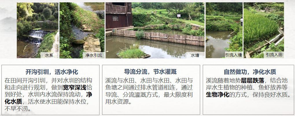 胡希軍：中國傳統村落生產智慧，從文化自信到文化輸出