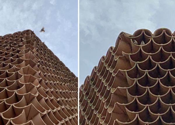 蔣曉飛：傳統村落空間重構及價值重塑