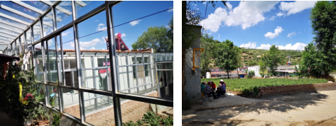 張鴿娟:西北鄉村“共同營建”探討