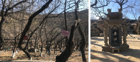 張鴿娟:西北鄉村“共同營建”探討