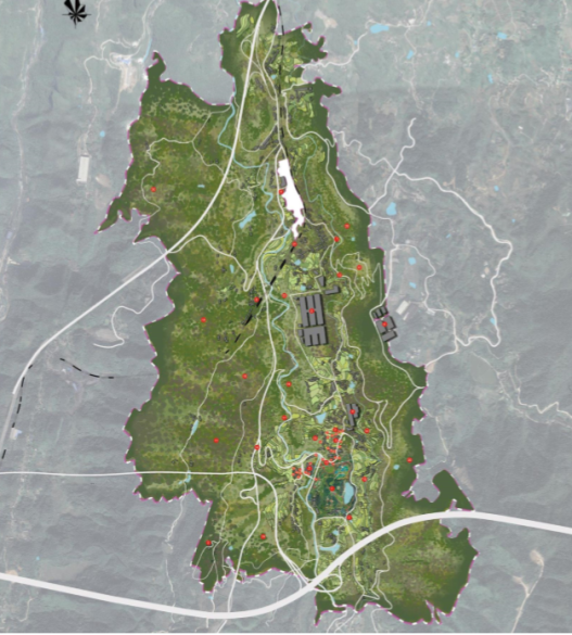 董莉莉：設(shè)計(jì)介入鄉(xiāng)村多維路徑探索