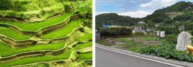 董莉莉：設(shè)計(jì)介入鄉(xiāng)村多維路徑探索