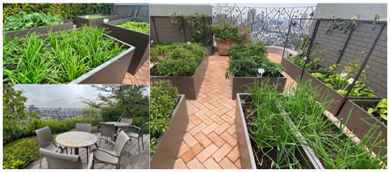 后疫情時代的健康環境規劃新思路