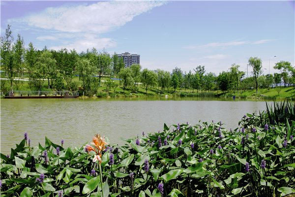 華藝園林丨太湖龍山智慧人防公園