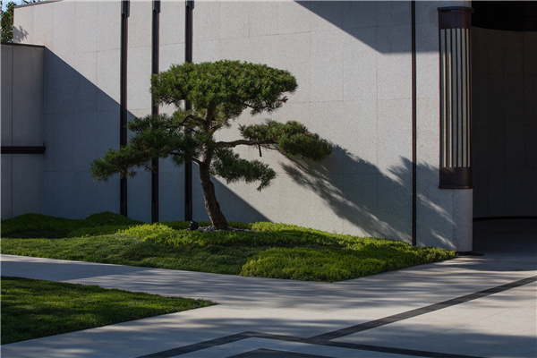 寶佳豐國際設計丨廊坊中建園著示范區