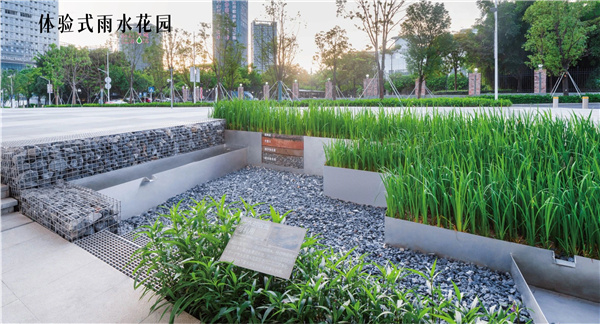 怡境設(shè)計(jì)丨深圳光明文化藝術(shù)中心