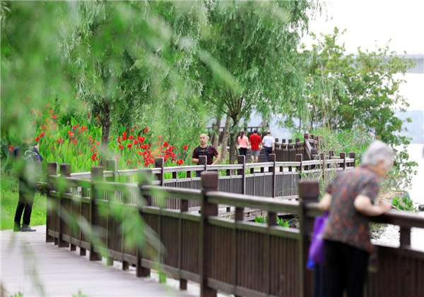 嶺南設(shè)計(jì)丨衡陽東洲島綜合開發(fā)景觀設(shè)計(jì)