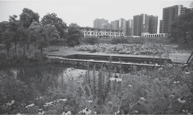 俞孔堅：“海綿城市”出路何在？