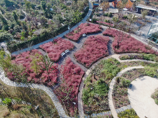 二木丨祥源星球花園