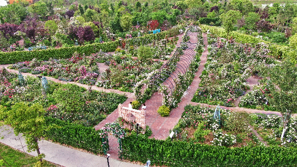 二木丨祥源星球花園