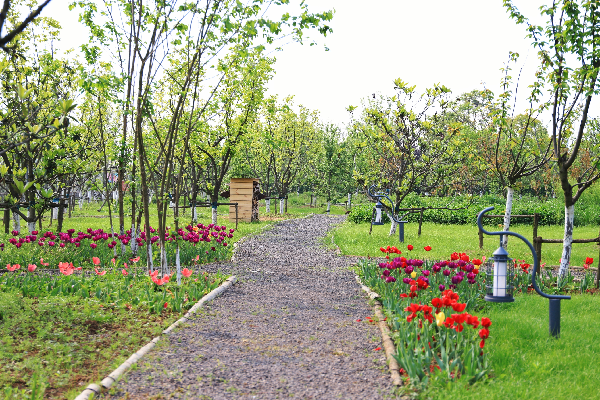 二木丨祥源星球花園